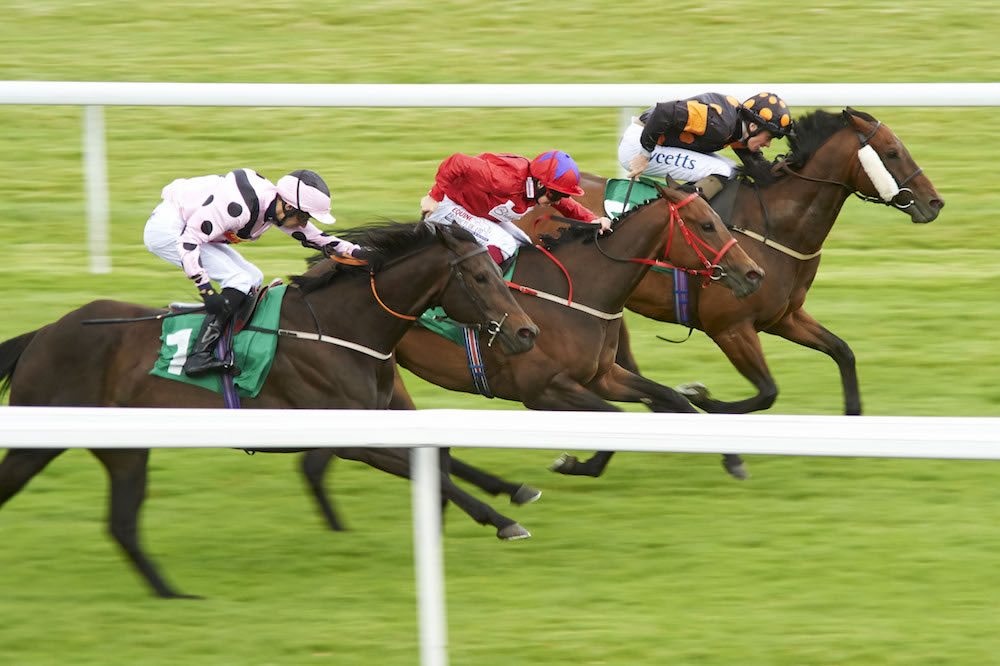 Madness at Chepstow Racecourse - Gallery Image #322